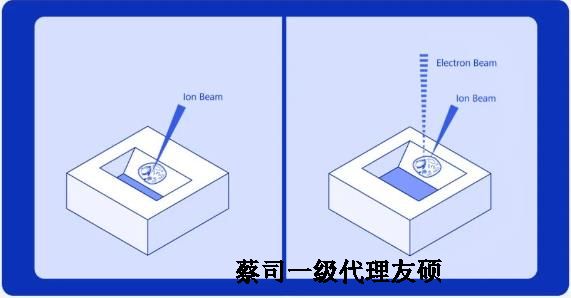 定西扫描电子显微镜